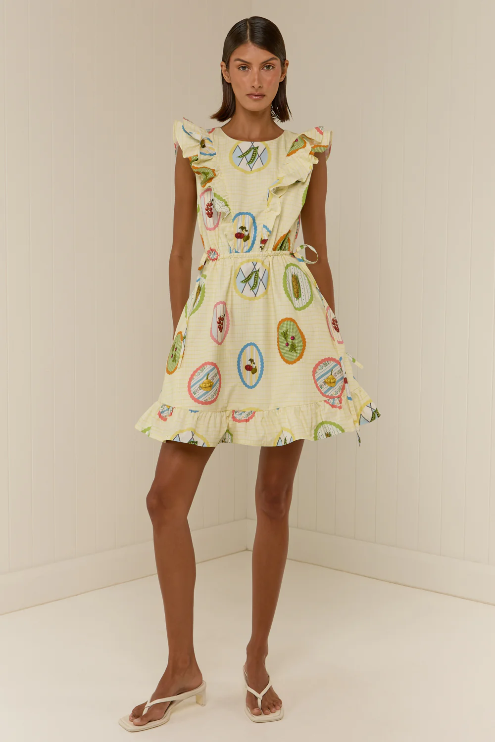 Mary Mini Dress Garden Frames